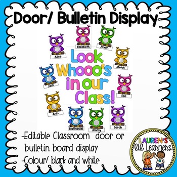 Preview of Owl door or bulletin board display