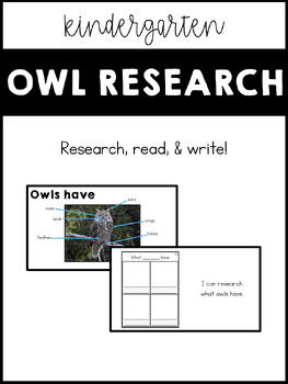 Preview of Owl research