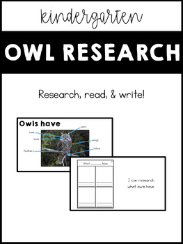 Preview of Owl research book