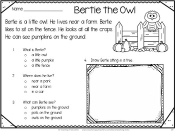 Fall Owl Activities for Kindergarten: Owls Worksheets - Math and Language