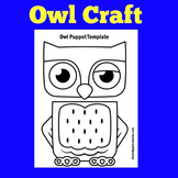 Owls Owl Craft Activity Worksheet Preschool Kindergarten 1