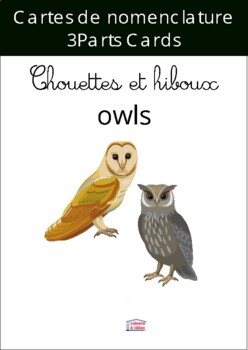 Preview of Owls 3parts Montessori cards and anatomy