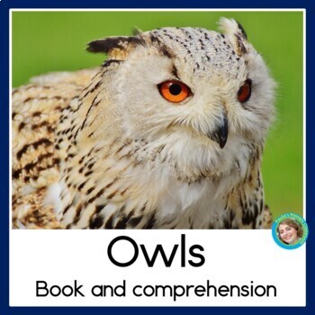 Preview of Owls Reading Comprehension Passage Book Worksheet and Vocabulary Posters