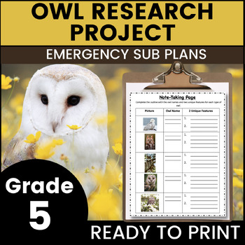 Preview of Owls 5th Grade Emergency Sub Plans Math English Science for Substitute Binder