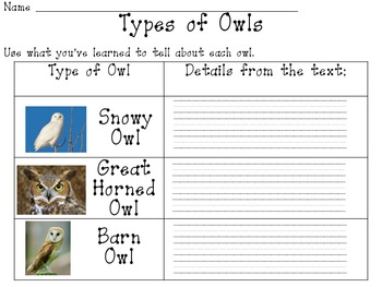 Owls: A Common Core Aligned Language Arts Unit by Alice Little | TpT
