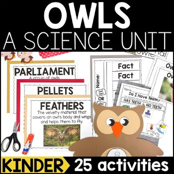 Preview of Owls Science Unit for Kindergarten- All About Owls | Owl Crafts & Owl Activities