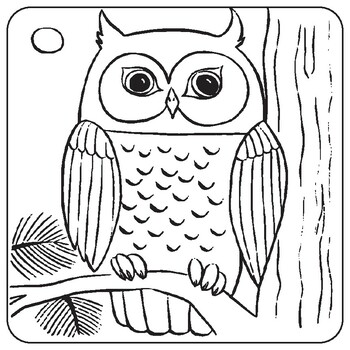 Owls Coloring Book for Kids and Toddlers: Coloring Books for Kids Ages 2-4  (Paperback)
