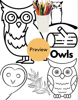 Owls Coloring Sheet by ColorWorks | TPT