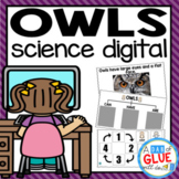 Owls Digital Science for Kindergarten Google Classroom