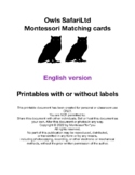 Owls ENGLISH  (SafariLtd) Montessori Matching Cards