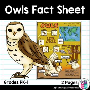 Owls Fact Sheet for Early Readers by Starlight Treasures | TpT