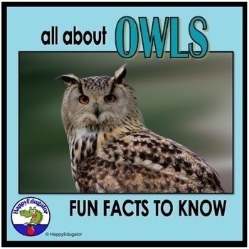 Owls Powerpoint Informational Text And Fun Facts By Happyedugator