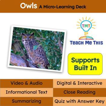 Preview of Owls Informational Text Reading Passage and Activities 