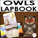 Owls Interactive Lapbook or Notebook - Owls Research Activity