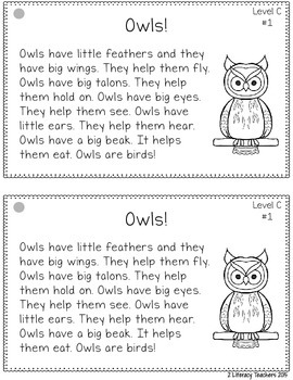Owls! Leveled Quick Read Cards and Response Activities by 2 Literacy ...