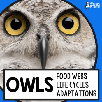 Preview of Owls Life Science: Owl Pellet Dissection, Food Chains and Food Webs Worksheets
