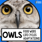 Owls Life Science: Owl Pellet Dissection, Food Chains and 