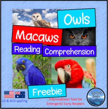Preview of Owls Macaws FREE