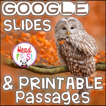 Preview of Owls NONFICTION GOOGLE and PRINTABLE Passages and Writing Activities