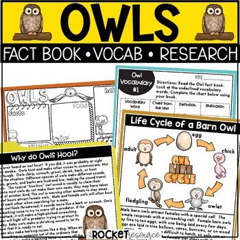 Preview of Owls | Nocturnal Animals | Life Cycle of a Bird