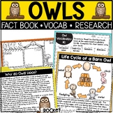 Owls | Nocturnal Animals | Life Cycle of a Bird
