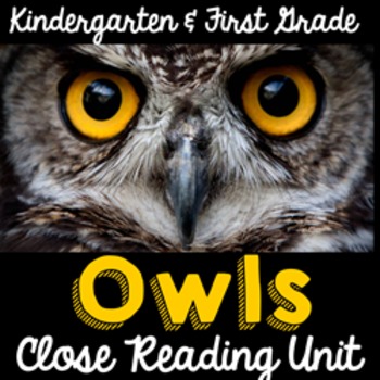 Preview of Owls Informational Text Close Reading Unit