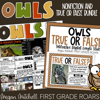 Preview of Owls Nonfiction Unit and True or False Google Slides Activity