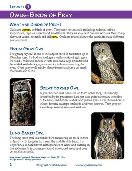 Preview of Owls & Owl Pellet Dissection Resource Guide - Preview Sample