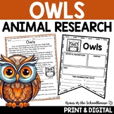 Owls Research Reading Writing | Animal Research Report