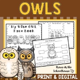 Owls Research Activities | Easel Activity Distance Learning