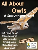 Owls - Scavenger Hunt Activity and KEY