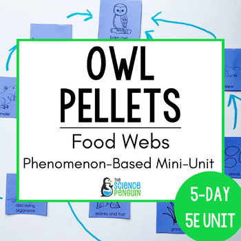Preview of Owls Food Web Unit | 4th Grade Owl Pellets Cut and Paste, Activity, & Worksheet