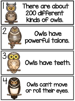 Owls - True or False by Leslie Stephenson | Teachers Pay Teachers
