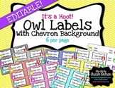 Owls and Chevron Classroom Decor Labels You Can Edit