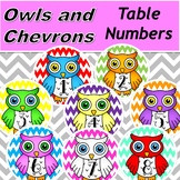 Owls and Chevrons Table Numbers