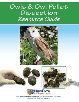 Preview of Owls and Owl Pellet Dissection Resource Guide