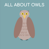 Owls of Massachusetts eBook