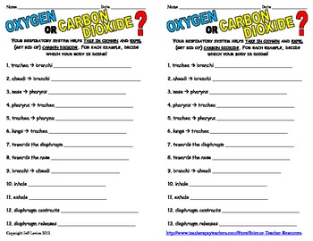 Oxygen or Carbon Dioxide? A Respiratory Worksheet by Science Teacher