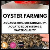 Oyster Farming: Aquaculture, Sustainability [7 Day Lesson 