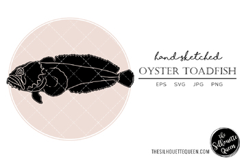 oyster toadfish drawing