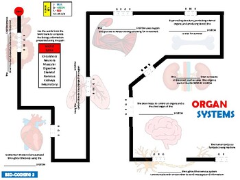 https://ecdn.teacherspayteachers.com/thumbitem/Ozobot-Bio-Coding-9436775-1682077592/original-9436775-3.jpg