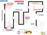 Ozobot: Bio-Coding