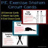 P.E. Exercise Activity Cards (Circuit)