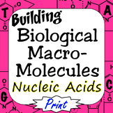 Nucleic Acids Building Biological Macromolecules Print Version