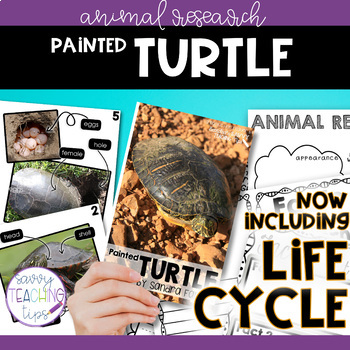 Preview of Animal Research and Life Cycle - PAINTED TURTLE