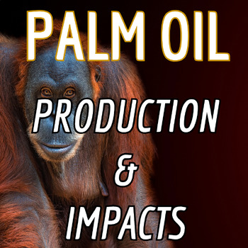 Preview of PALM OIL CASE STUDY: Production & Impacts - Overview & Research