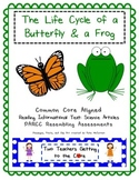 Test Prep Articles & Assessment: Butterfly and Frog Life Cycle