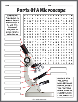 Preview of PARTS OF A MICROSCOPE Lab Word Search Puzzle Worksheet Activity