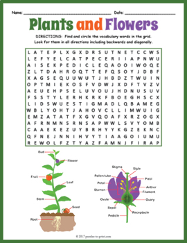 Preview of PARTS OF A PLANT & FLOWER Word Search Puzzle Worksheet Activity