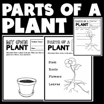 PARTS OF A PLANT | LABEL & DRAW by Lessons From Neuroscience | TPT